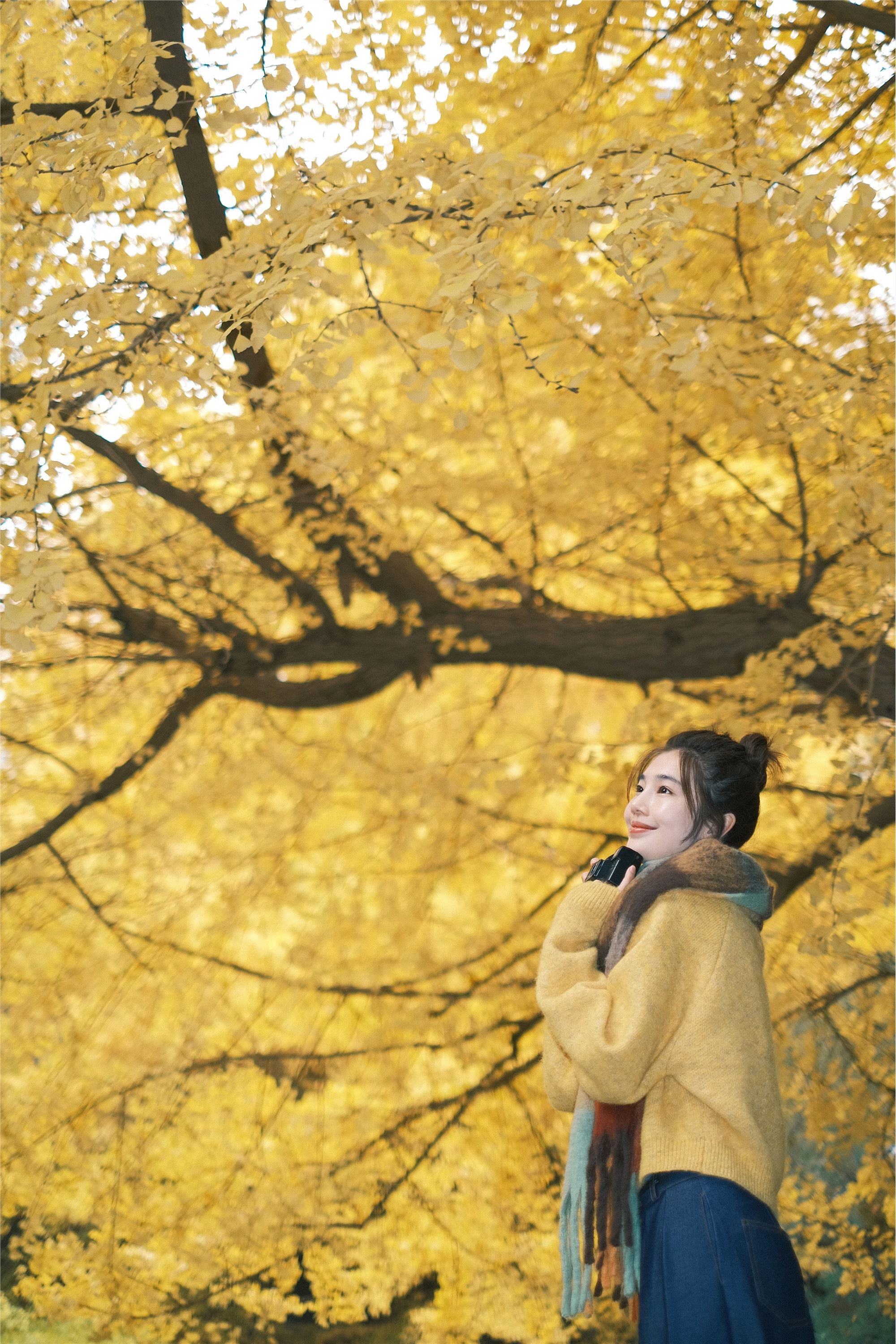 YITUYU艺图语 2025.01.26 窗边秋色 凡凡